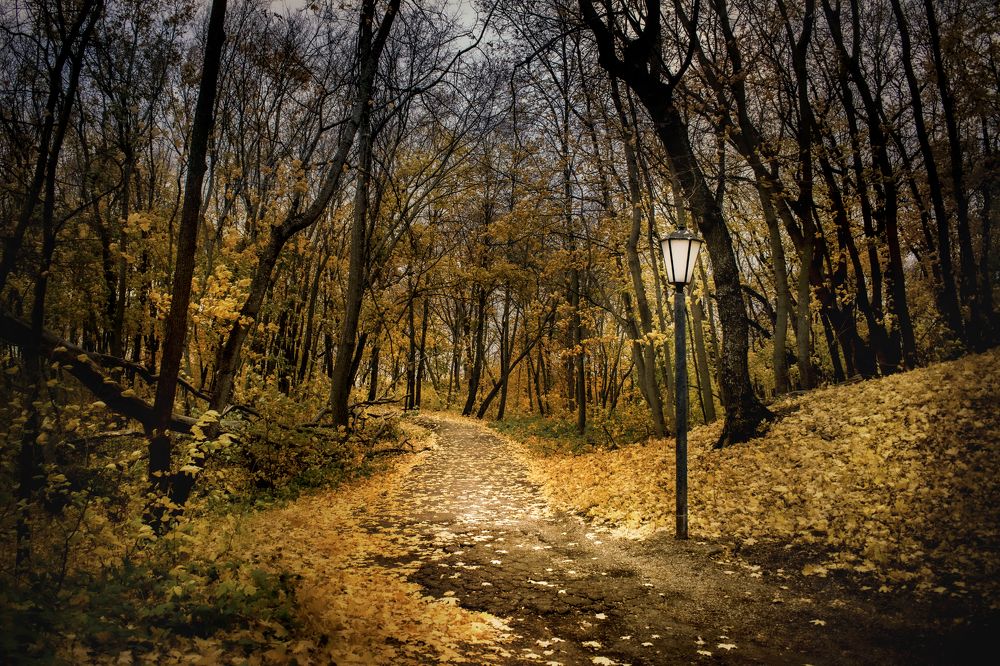 Photograph by Альфия Агзами