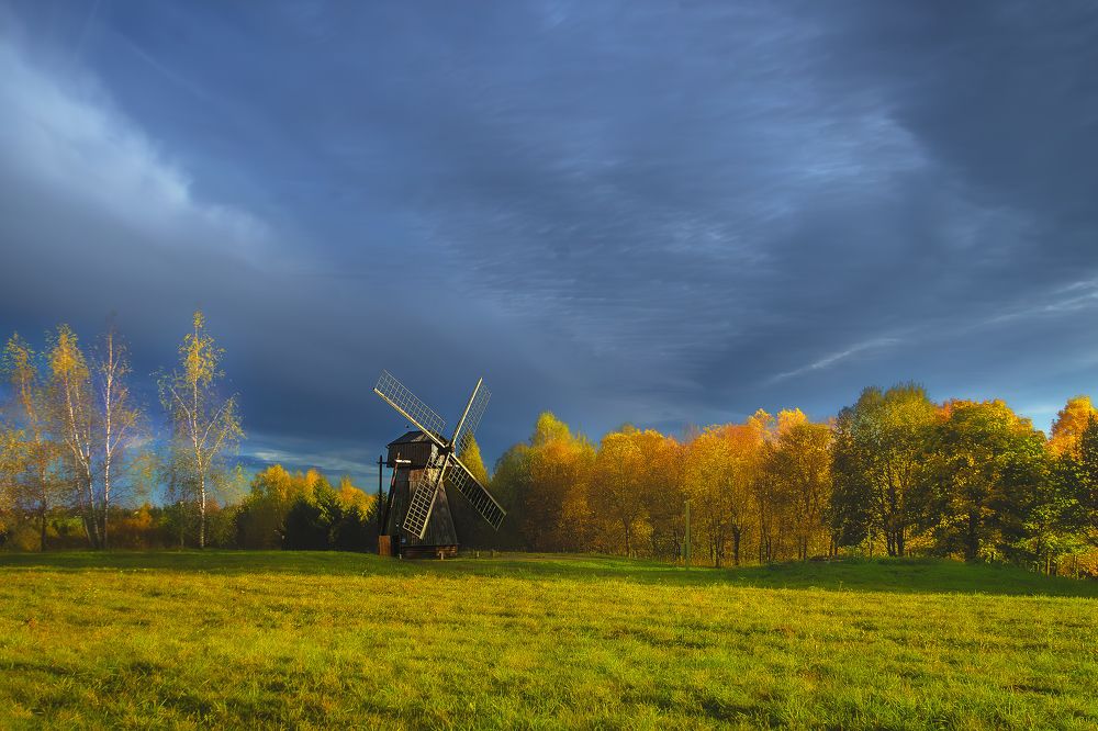 Прогулка за городом
