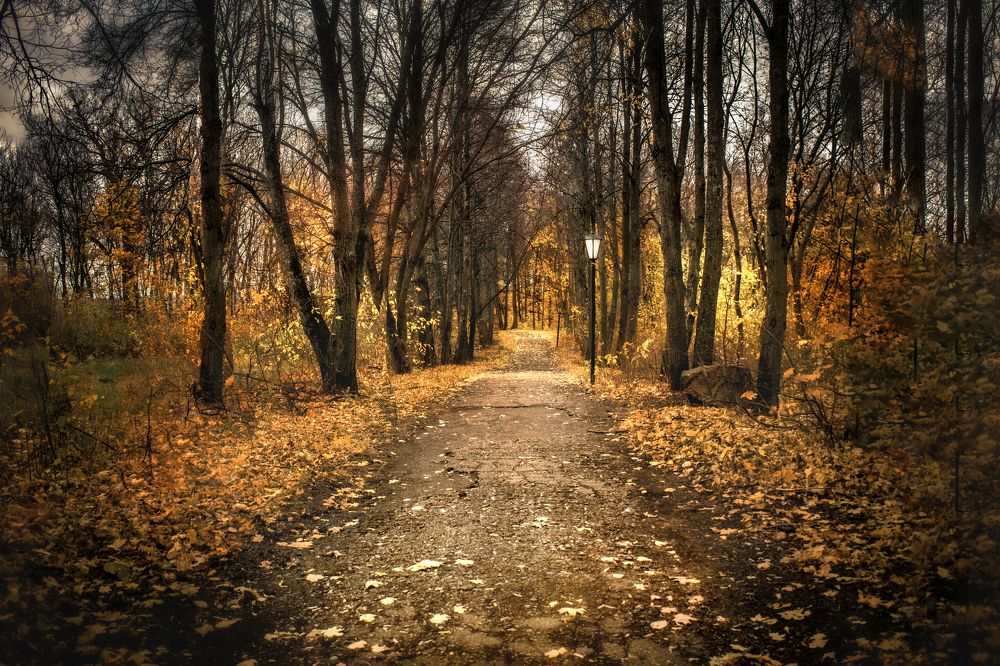 Photograph by Альфия Агзами