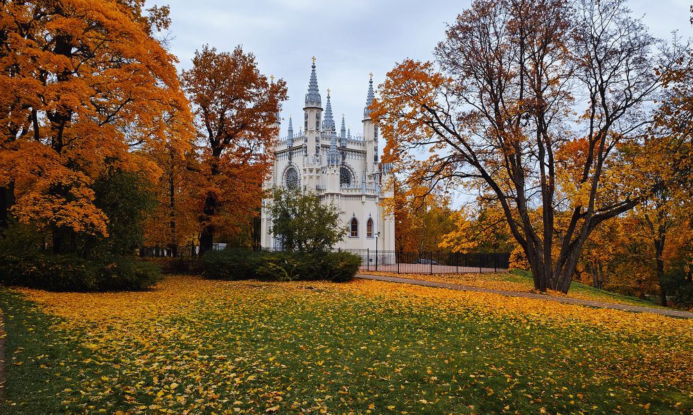 Photograph by Zina Lifanova