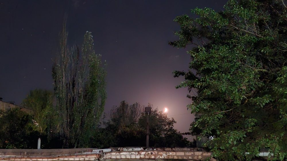 Photograph by Елена