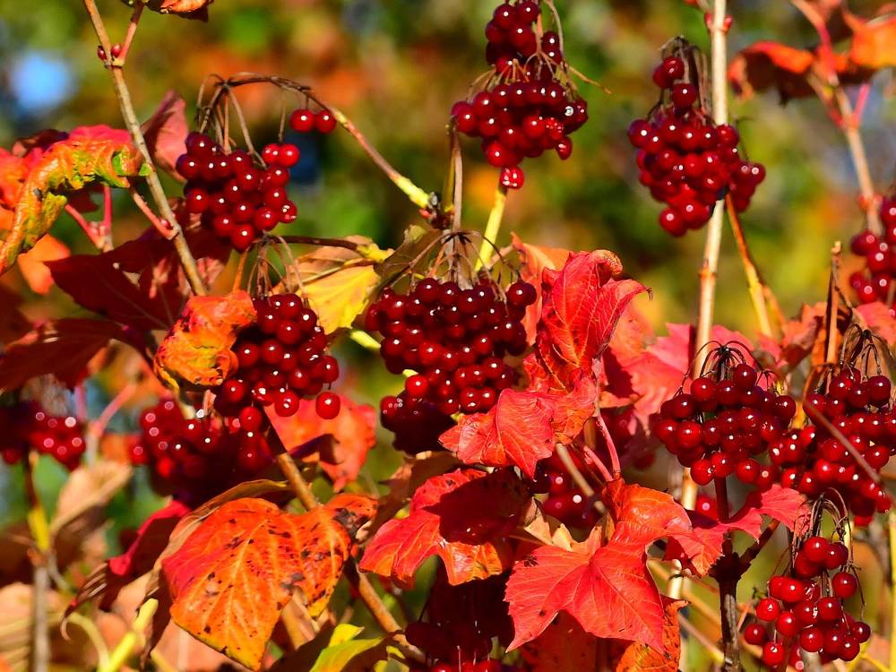 Photograph by Николай Абакумов