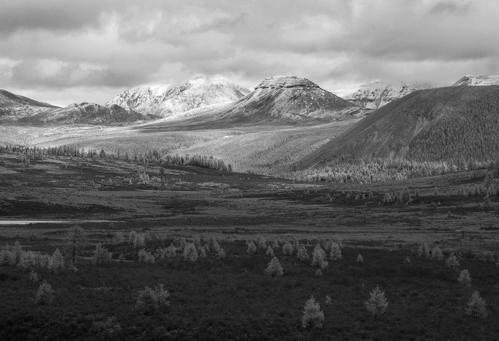 Photograph by Александр Попов