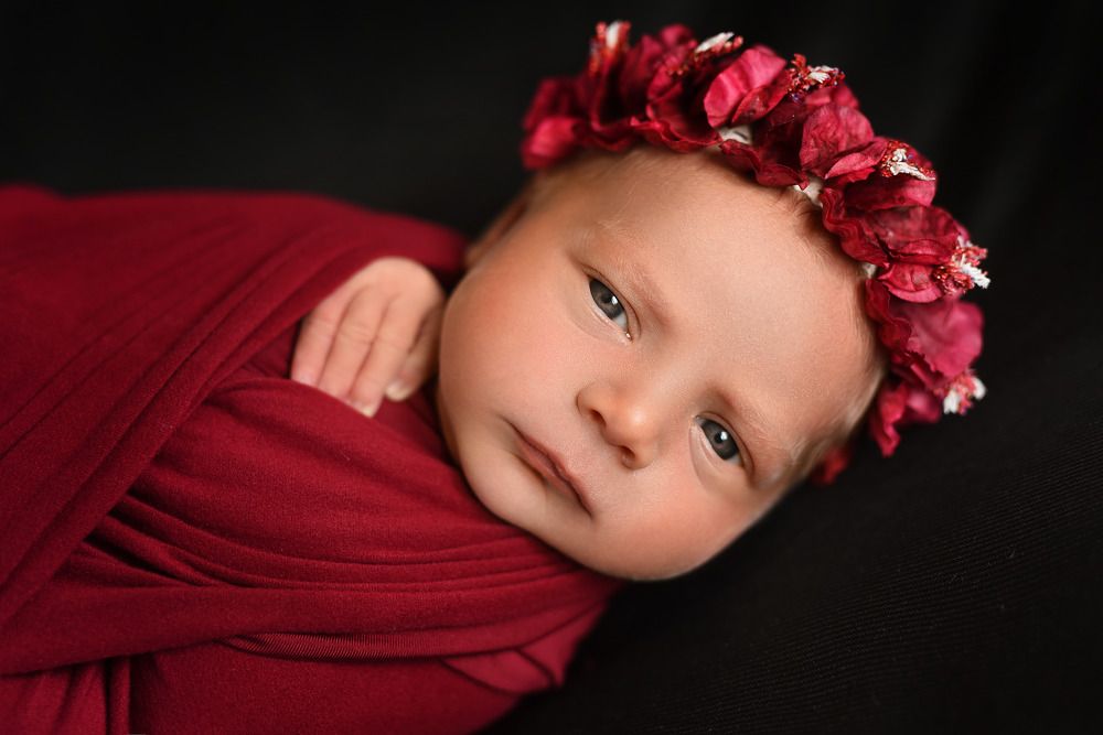 Фотография автора Келлер Ольга