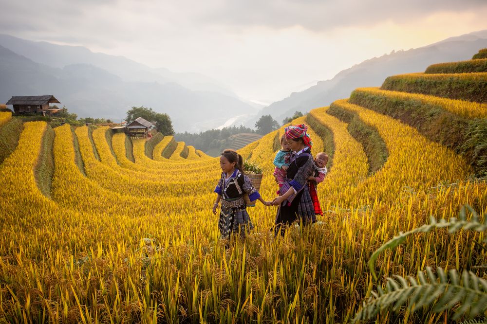 Photograph by Nguyen Thi Chieu Xuan