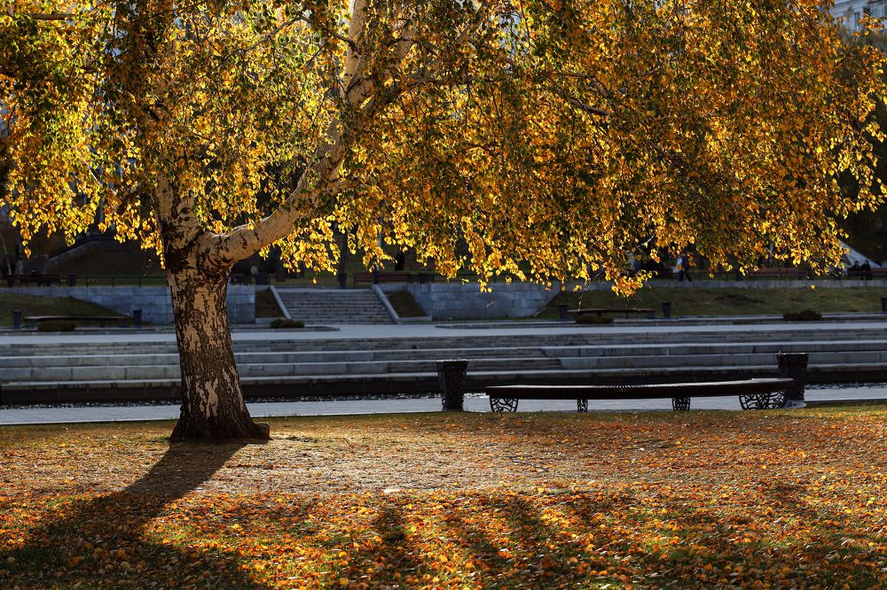 Фотография автора Светлана Цудзевич