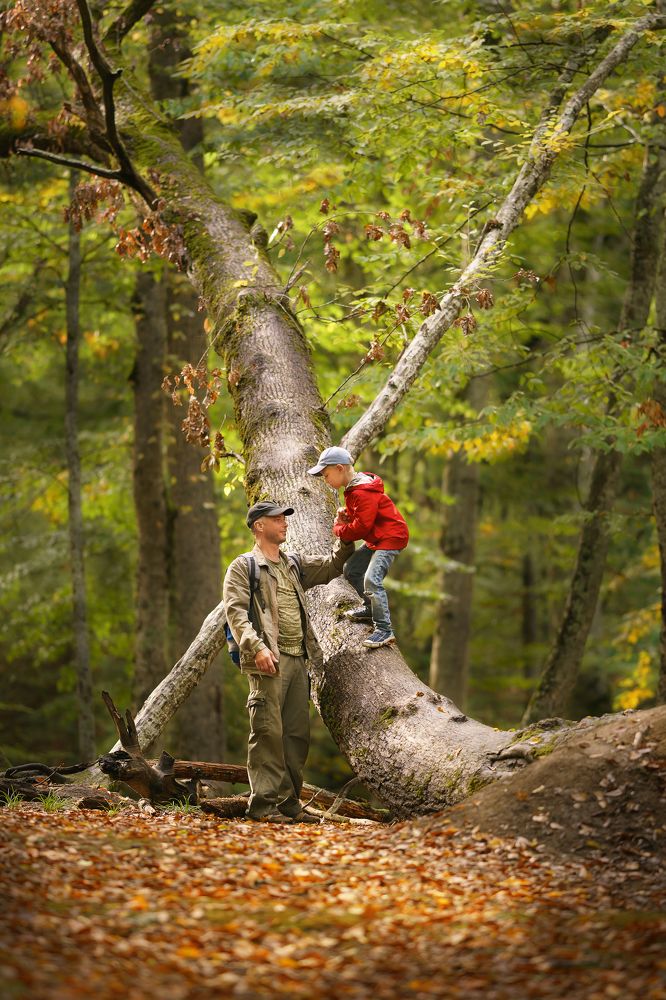 Photograph by Эльвира Глазунова
