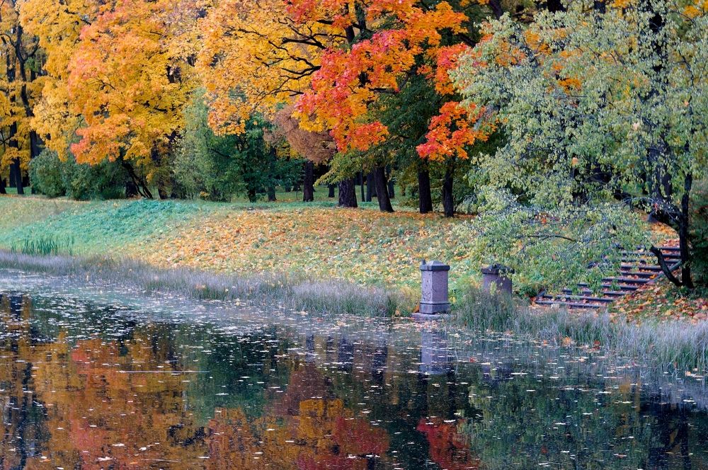 Осенний импрессионизм