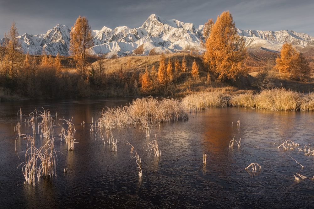 Photograph by Dmitry Medyancev