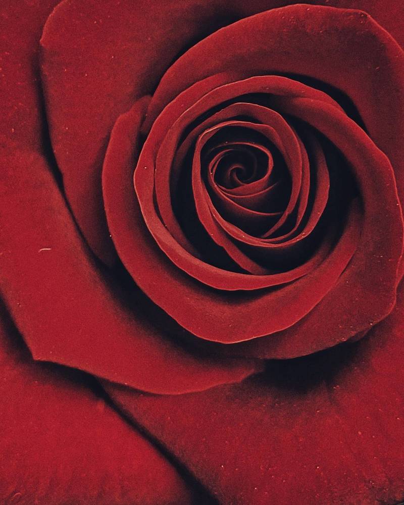 Photograph by Anastasiya Danilova