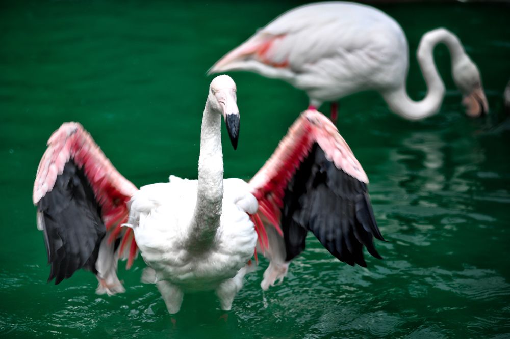 Photograph by Валерия