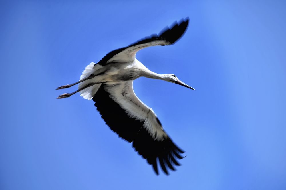 Photograph by Валерия