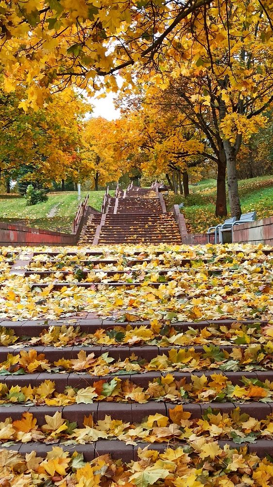 Photograph by Людмила Щуцкая