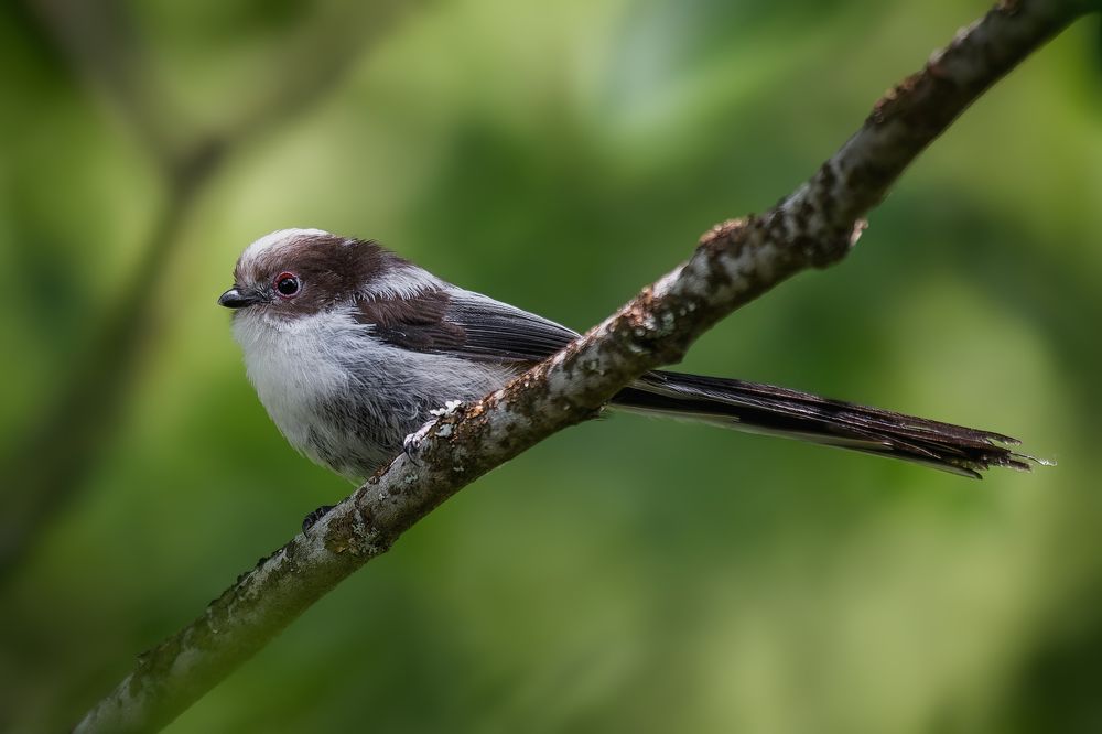 Photograph by Кормашова Татьяна