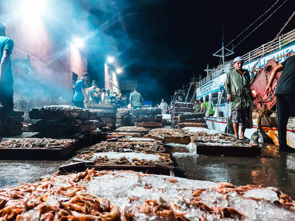 Photograph by Abdu Zaki