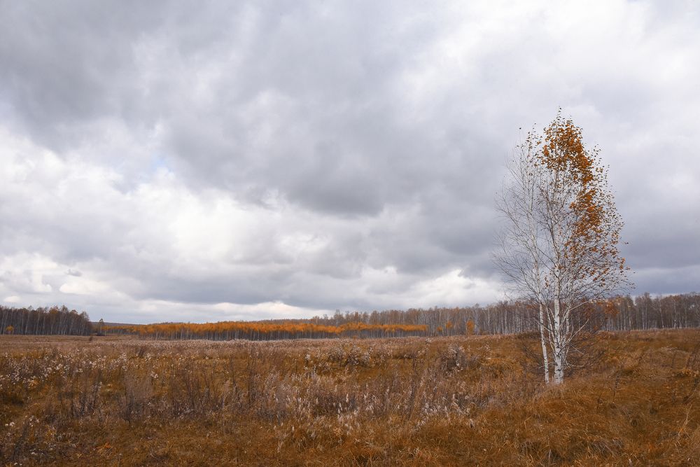 Photograph by Виктория Шамурина