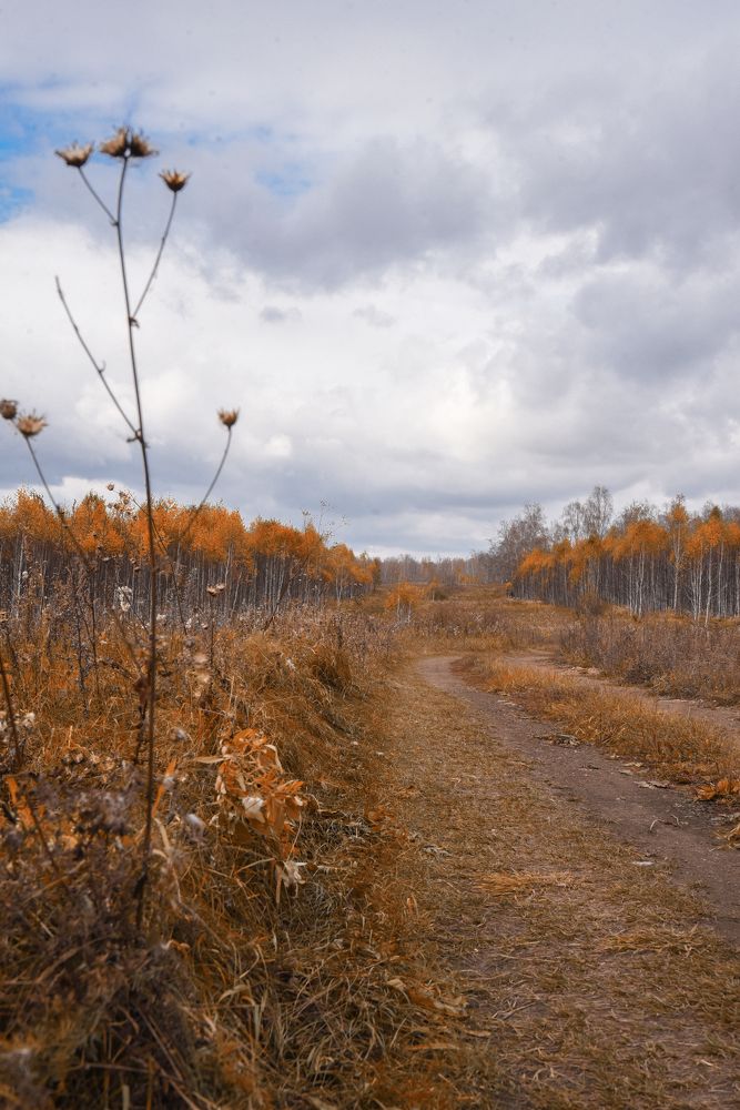 Photograph by Виктория Шамурина