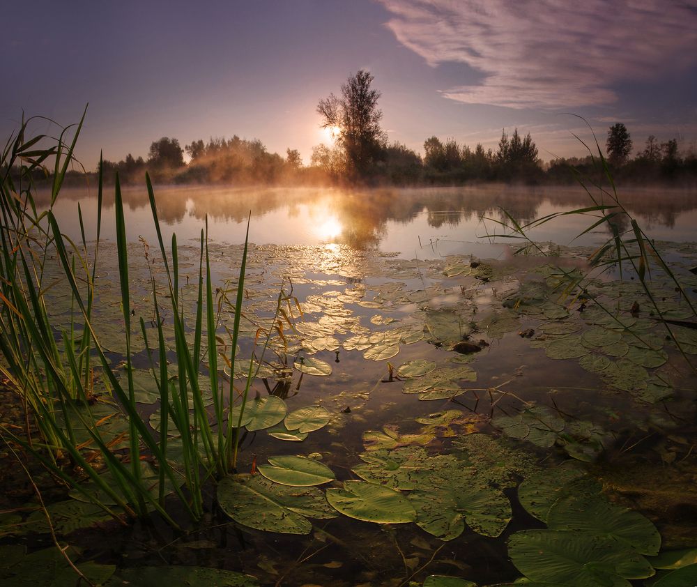 Photograph by Чичкин Валерий