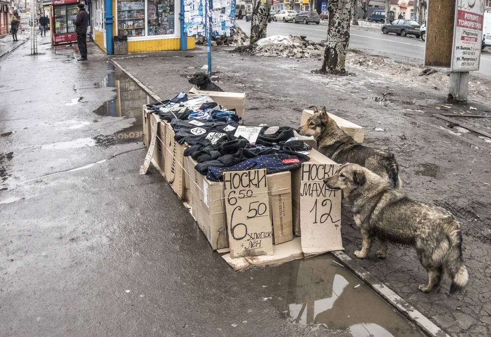 Photograph by Игорь Квочка