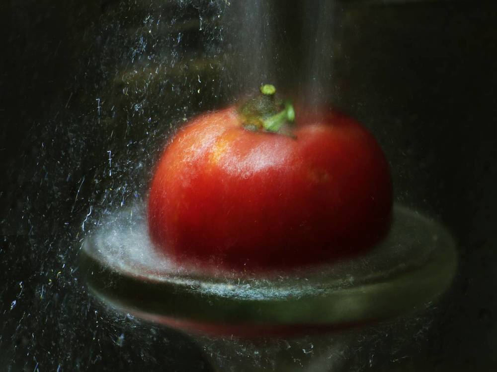 Фотография автора Татьяна Сергиенко