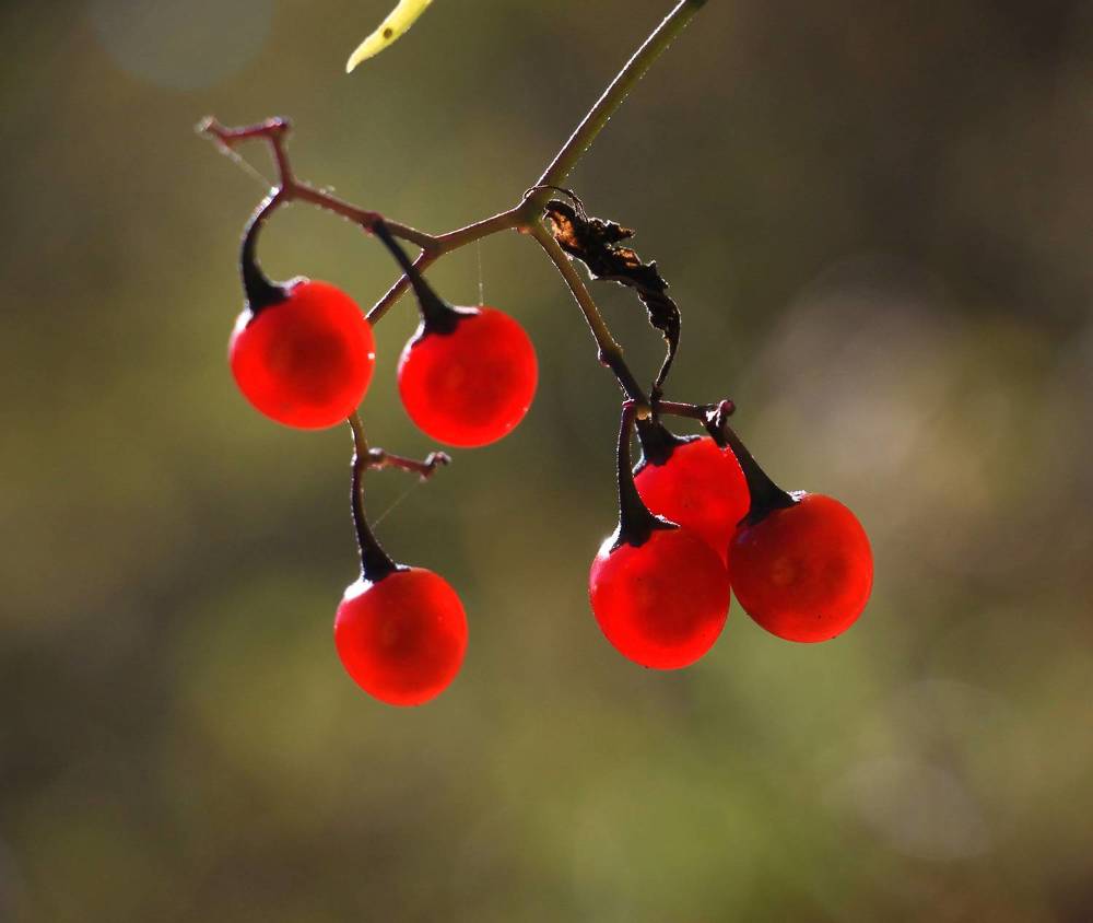 Фотография автора Татьяна Сергиенко