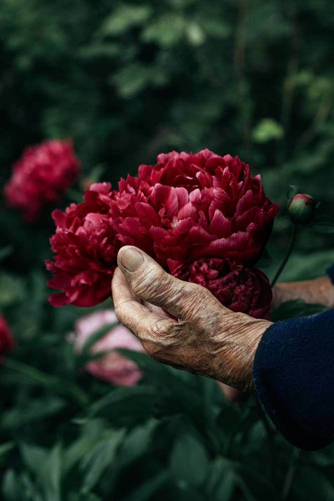 Photograph by Остапенко Алина