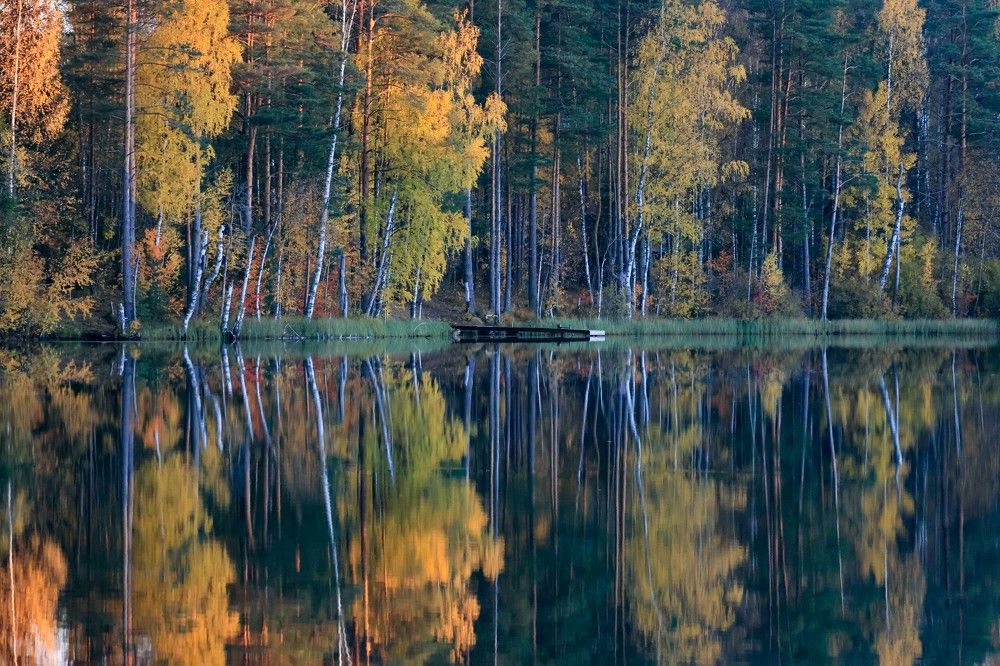Photograph by Анна Чадова