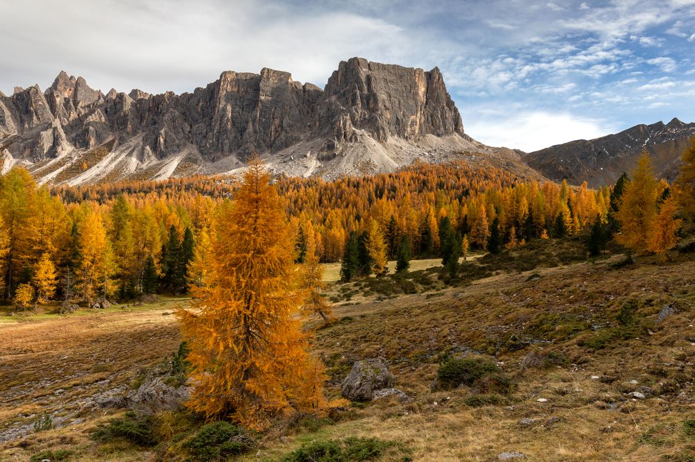 Photograph by Евгения Чех