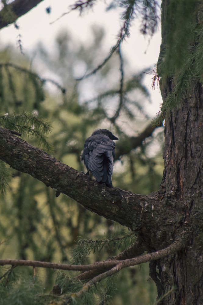 Photograph by Anna Dubinina