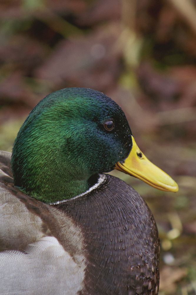 Photograph by Anna Dubinina