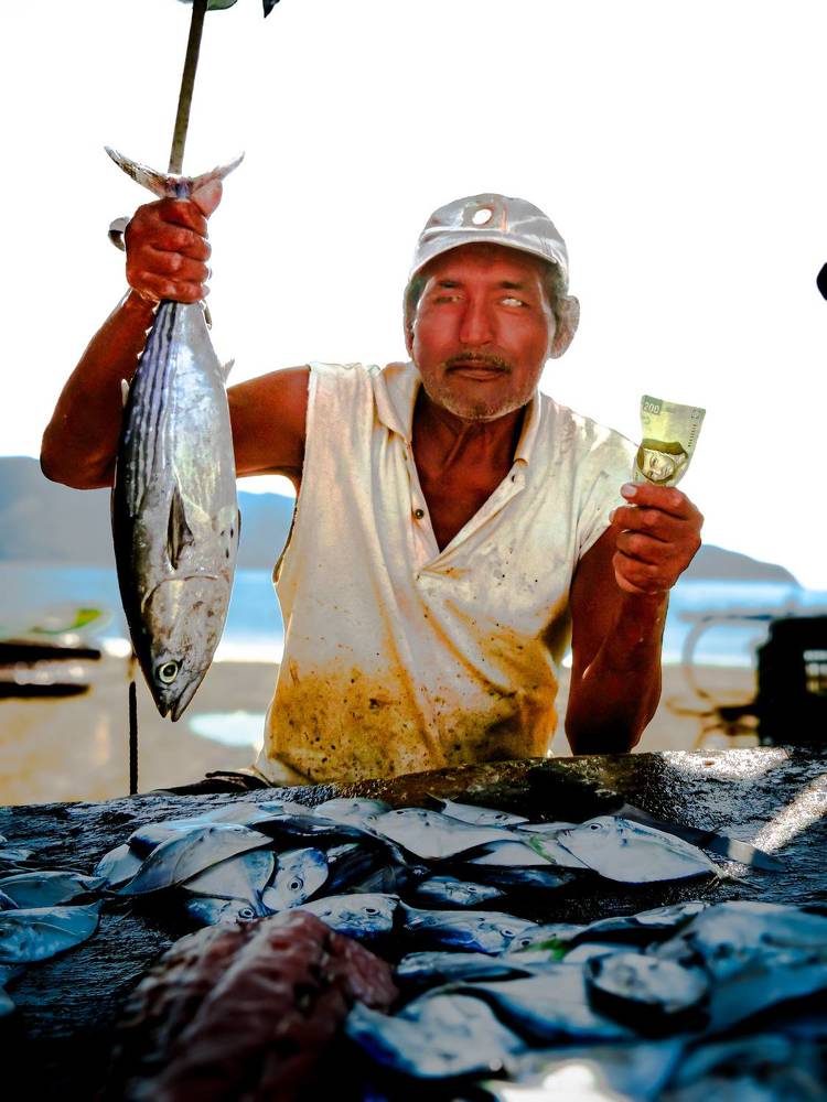 Фотография автора fabio chiari