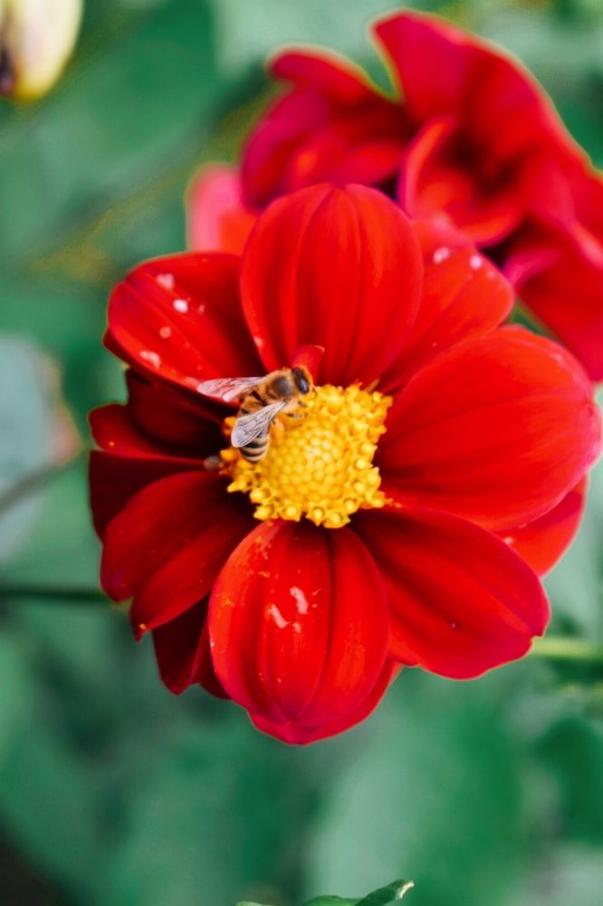 Photograph by Ольга Топорищева