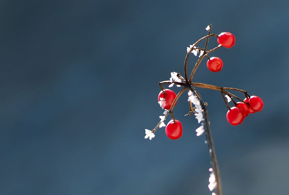 Photograph by Agita Leimane