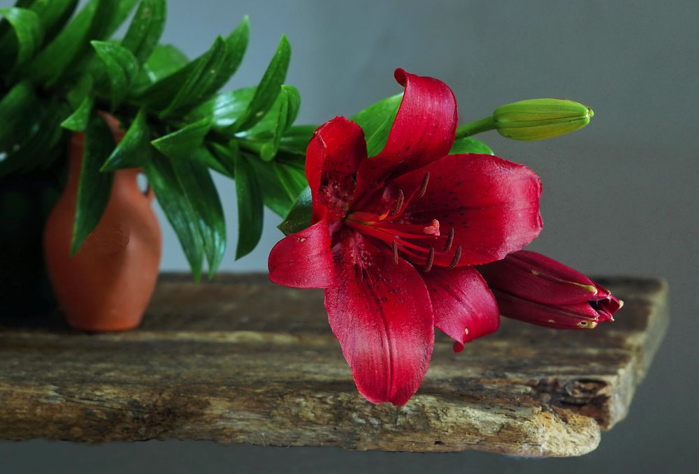 Photograph by Анатолий Святой