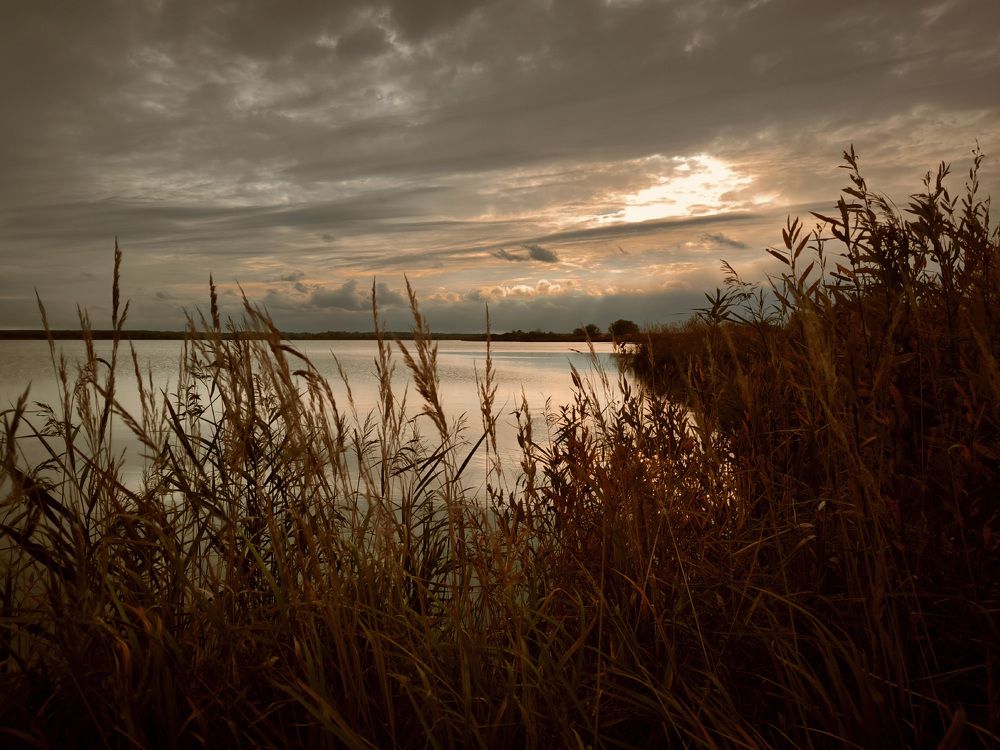 Photograph by Andrey Anikanov