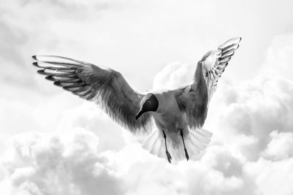 Photograph by Александр Шандов