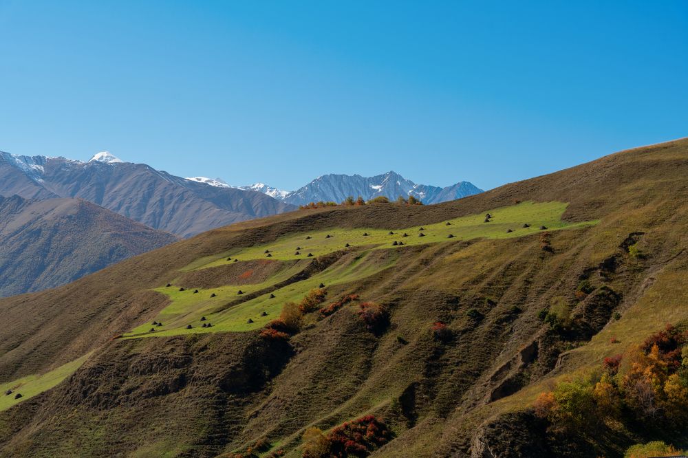 Фотография автора Олег Кожухов