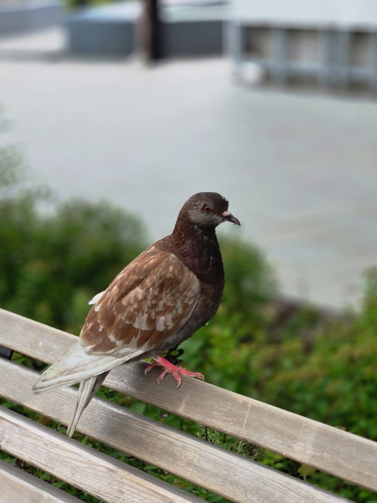 Photograph by Ольга Дёмина