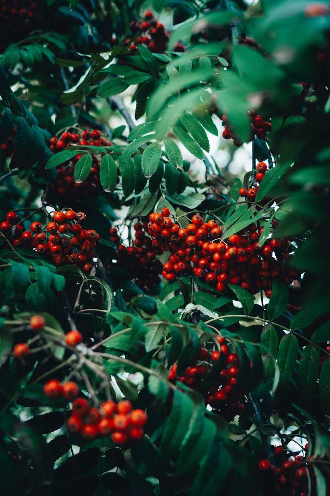 Photograph by Иван Кривоносов