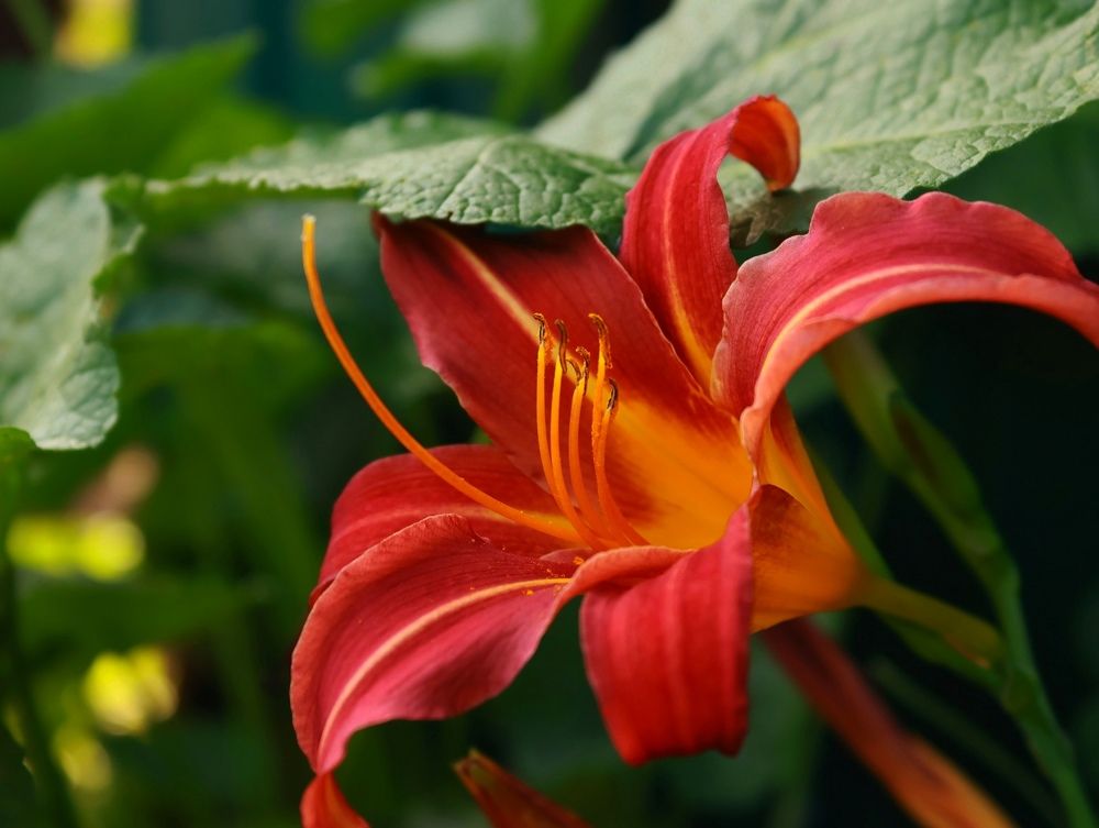 Photograph by Серёга Ануфриев