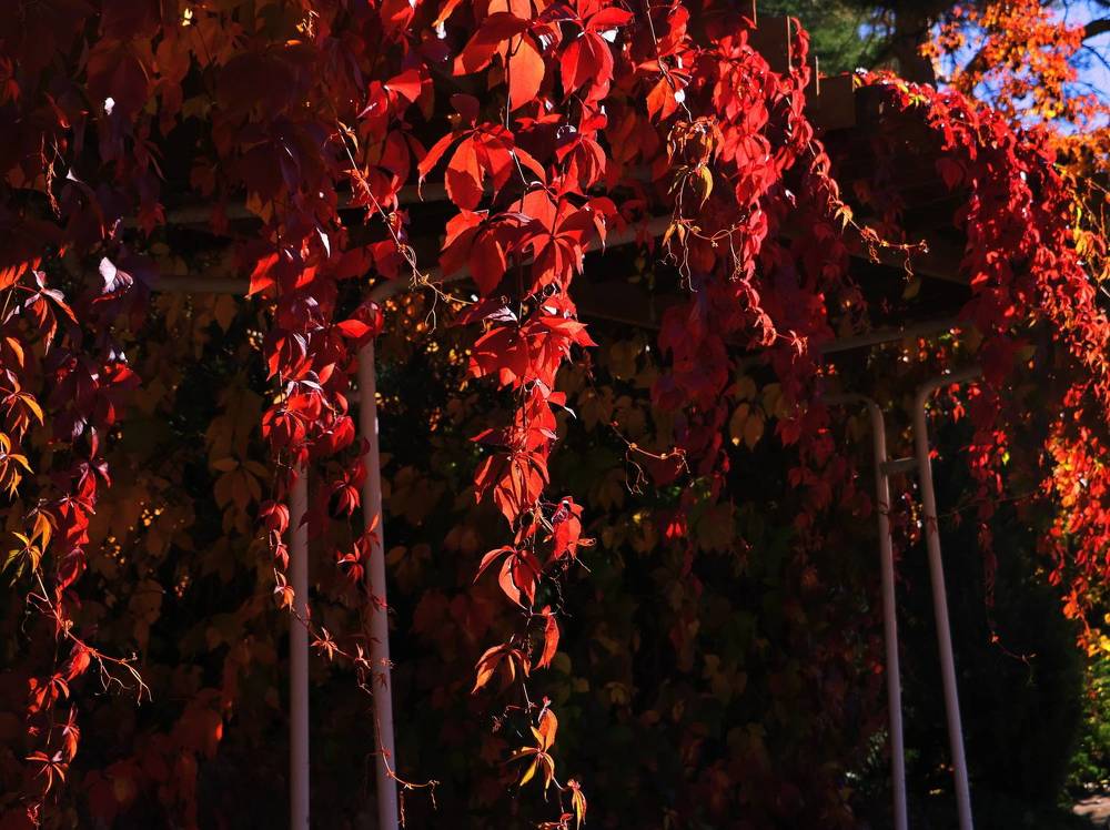 Photograph by Серёга Ануфриев