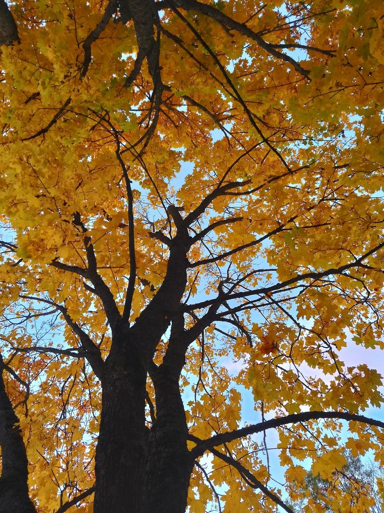 Фотография автора Илья Сергеев