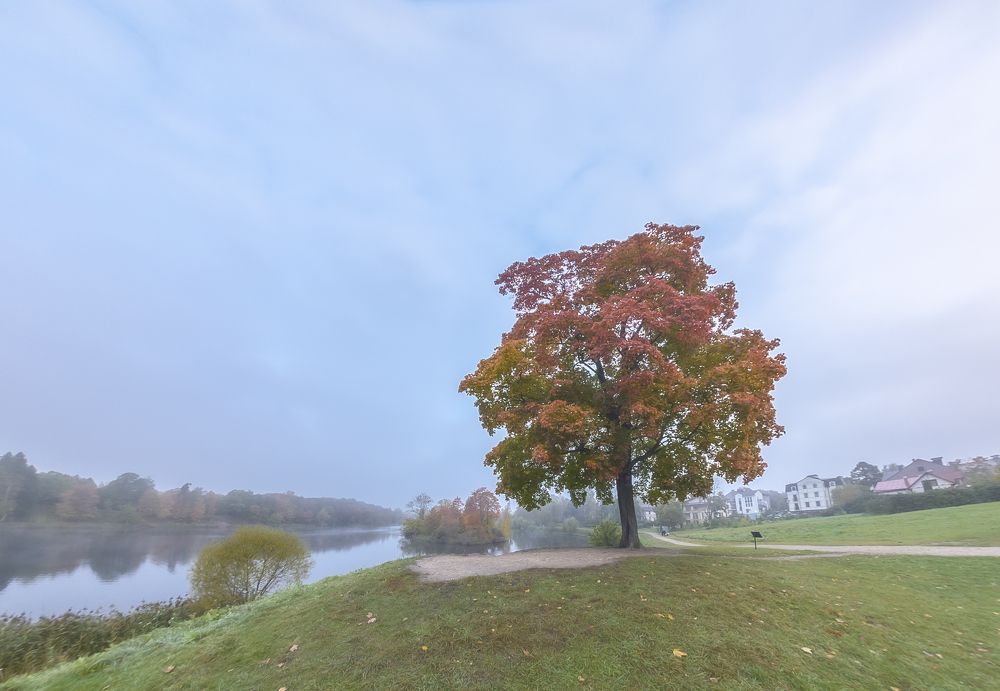 Photograph by Армашов-Тельник Григорий