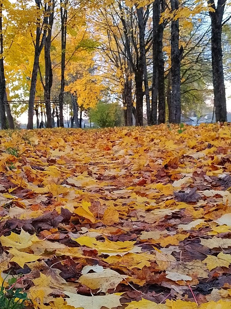 Фотография автора Илья Сергеев