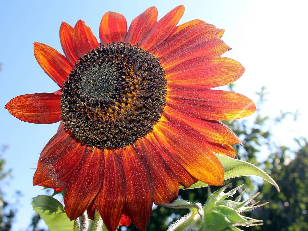 Photograph by Оксана Малахова