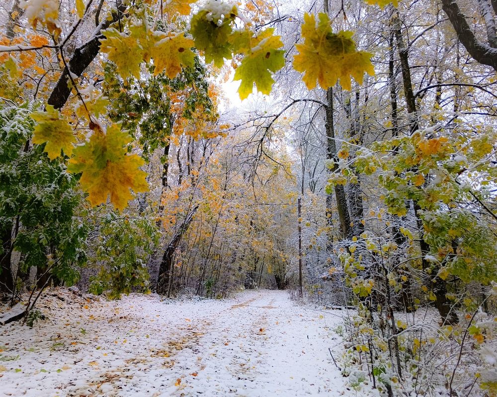 Photograph by Кондрашова Светлана