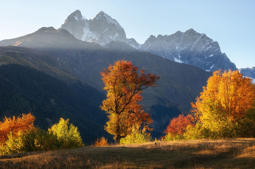 Photograph by Olga Sharikova
