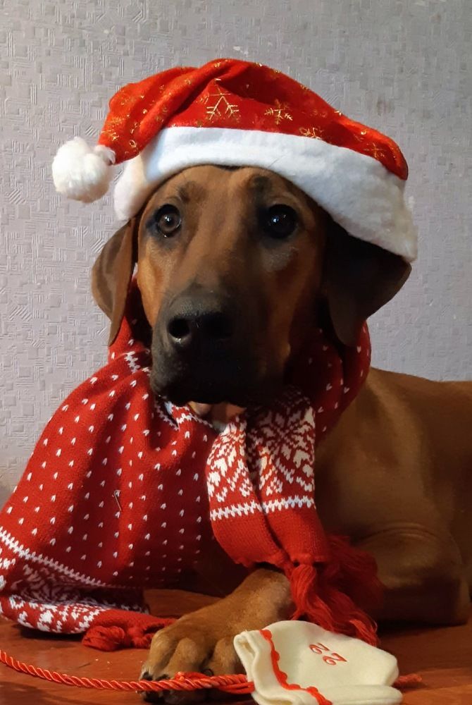 Photograph by Ольга Хромова