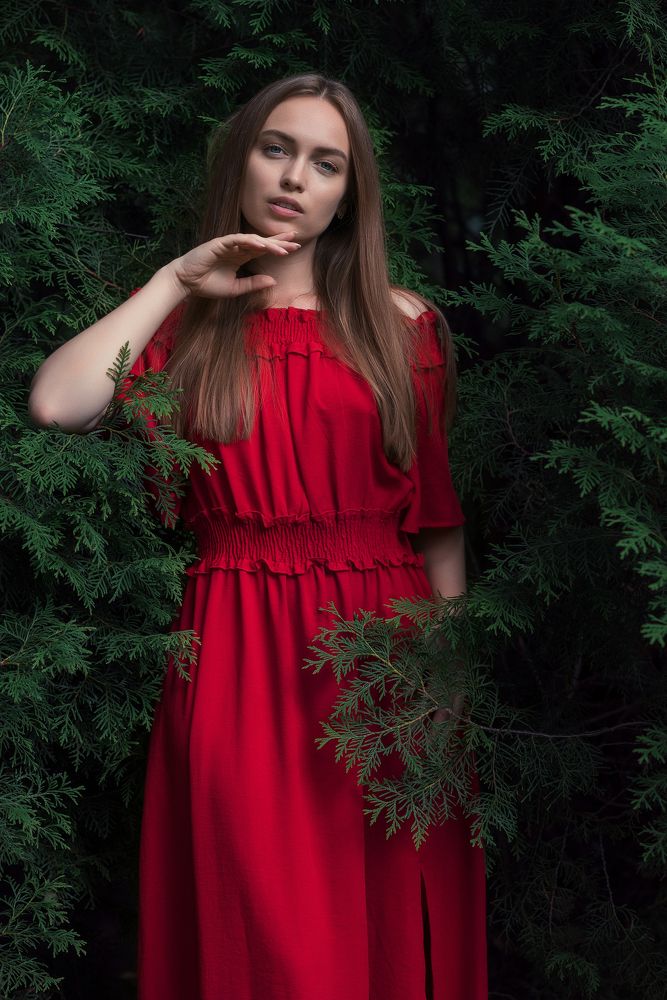 Фотография автора Wolf Adrian