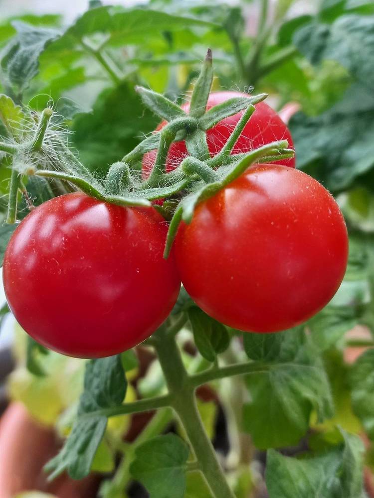 Photograph by Екатерина Пенежина